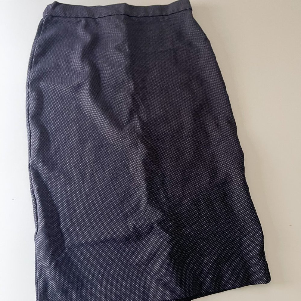Banana Republic Pencil Skirt